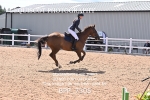 BPP_7305