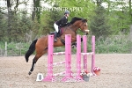 BPP_3993
