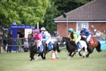 SBM_09991