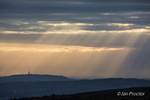 Morning Sunburst over Scrabo Tower