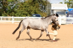 SBM_09276