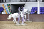 SBM_000635