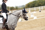 SBM_002976