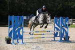 Cls 6 Snr British Novice & 90cm Open portfolio