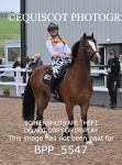 BPP_5547