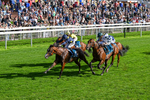 060926-Race 5-Extremely Zain-0325