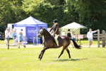 SBM_15462