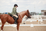 SBM_06013