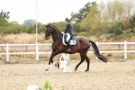 SBM_006886