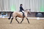 SBM_014169