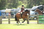 SBM_07007
