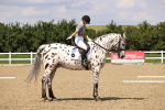 SBM_002066