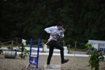 Hobby Horse Comp portfolio