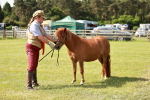 SBM_01784
