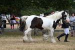 WJ6_8346