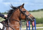 BPP_3378