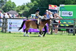 SBM_06445