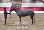 BPP_2529