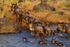 Wildebeest - safe crossing of the Mara river