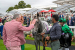 210824-Race 6-Star Of Lady M-5852