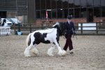 SBM_008061