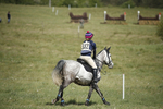 BVHT 140517  IXC -117