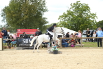 SBM_41464