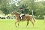SBM_62428