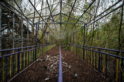 Abandoned Six Flags (New Orleans, LA) | Mega Zeph Ride Line