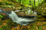 Waterfall at Sally Gap