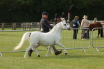 SBM_00502