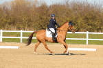 SBM_003495