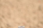 230906A-130352-00406
