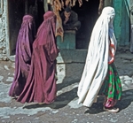 Kabul butcher