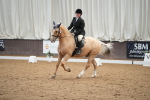 SBM_002176