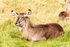 20120903-_MG_9867