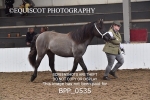 BPP_0535