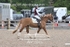 BPP_0074