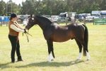 SBM_09118