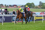 120526-Race 5-Coolree-8762