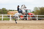 SBM_002531