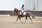 SBM_000996