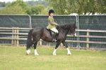 SBM_15878