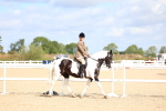 SBM_12035