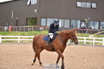 Cls 1 British Novice & 90cm Open portfolio
