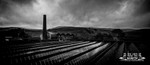 Albert Mill, Haslingden