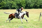 214-Theo_Funnell-CARLOMAN_C portfolio