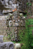 Stone carving covered with greenery, Penglipuran, Bali