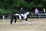 WJ7_7876