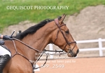 BPP_2549